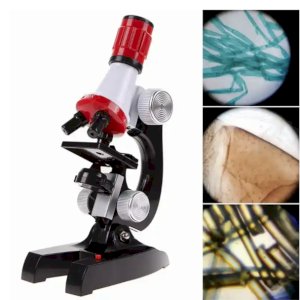 Microscope 1200X