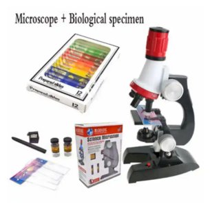 Microscope 1200X